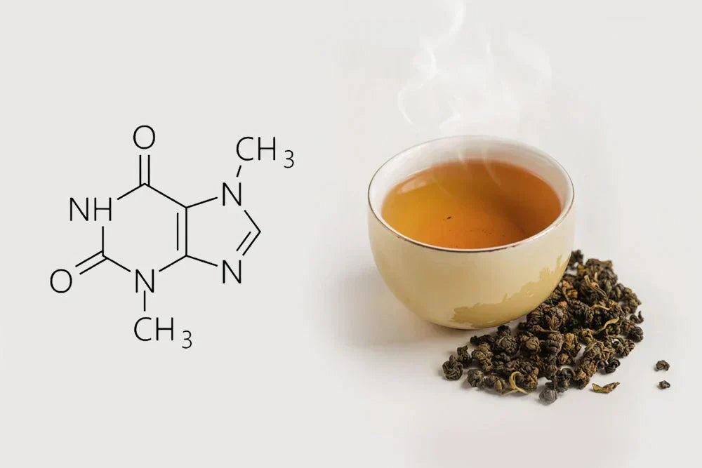 Does Oolong Tea Have Caffeine? A Simple Explanation – Dong Po Tea