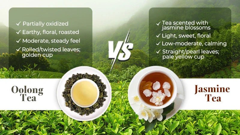 Oolong vs Jasmine Tea