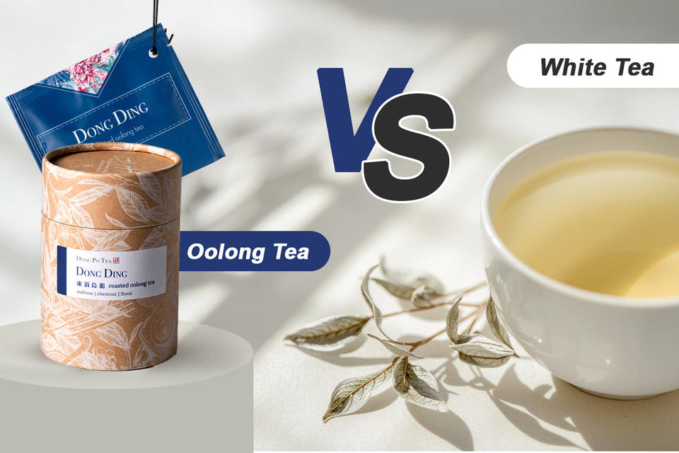 Oolong Tea vs White Tea: Which One Should You Drink?