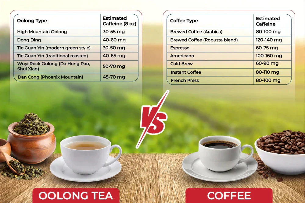 oolong tea caffeine vs coffee