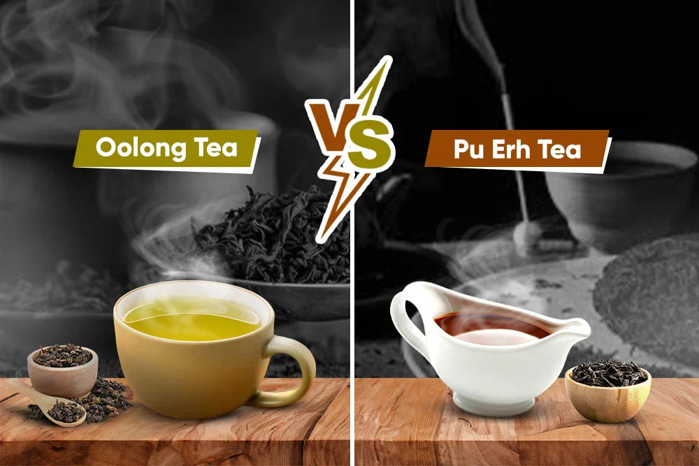 pu erh tea vs oolong