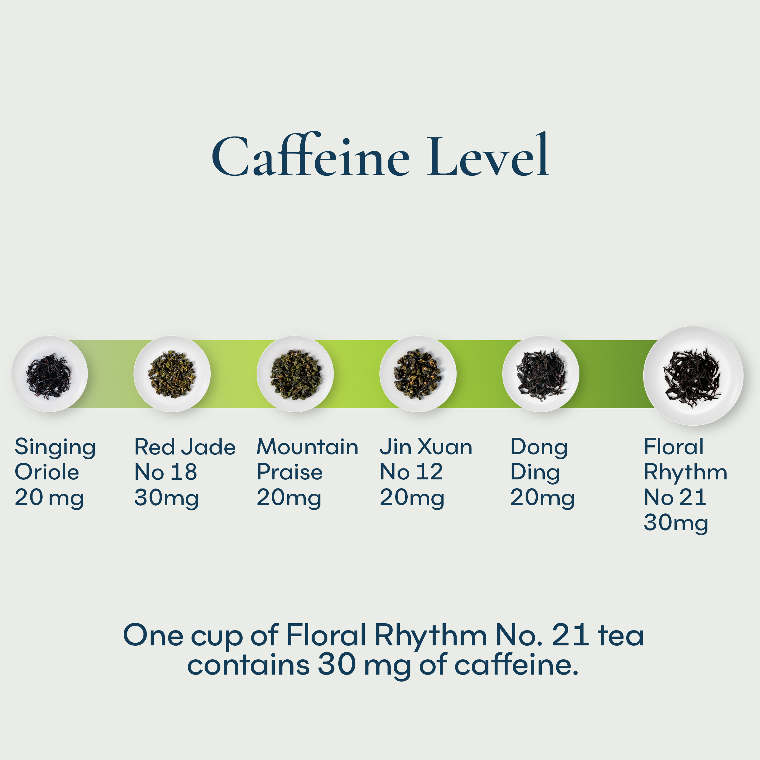 Floral Rhythm No. 21 Tea Bag