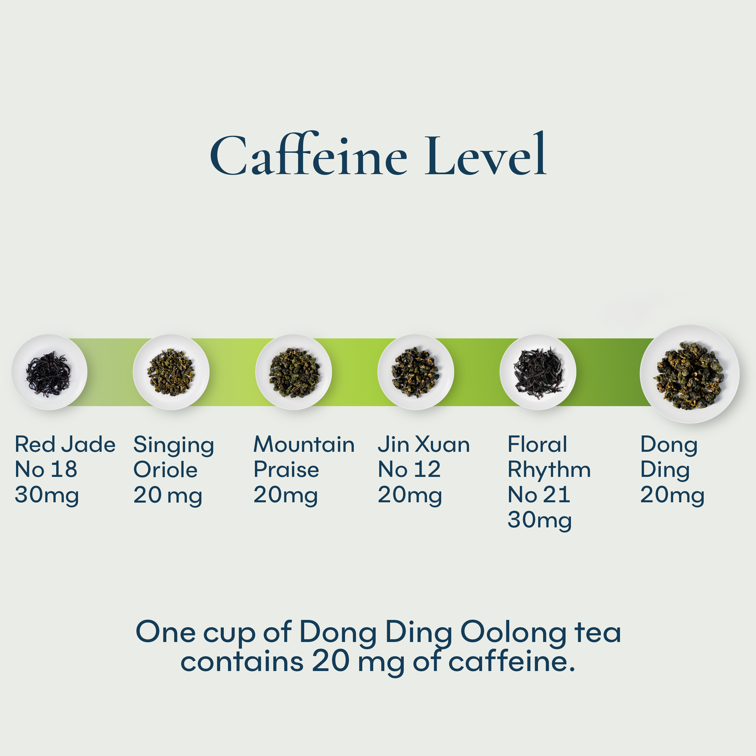 Dong Ding Oolong Tea Bag