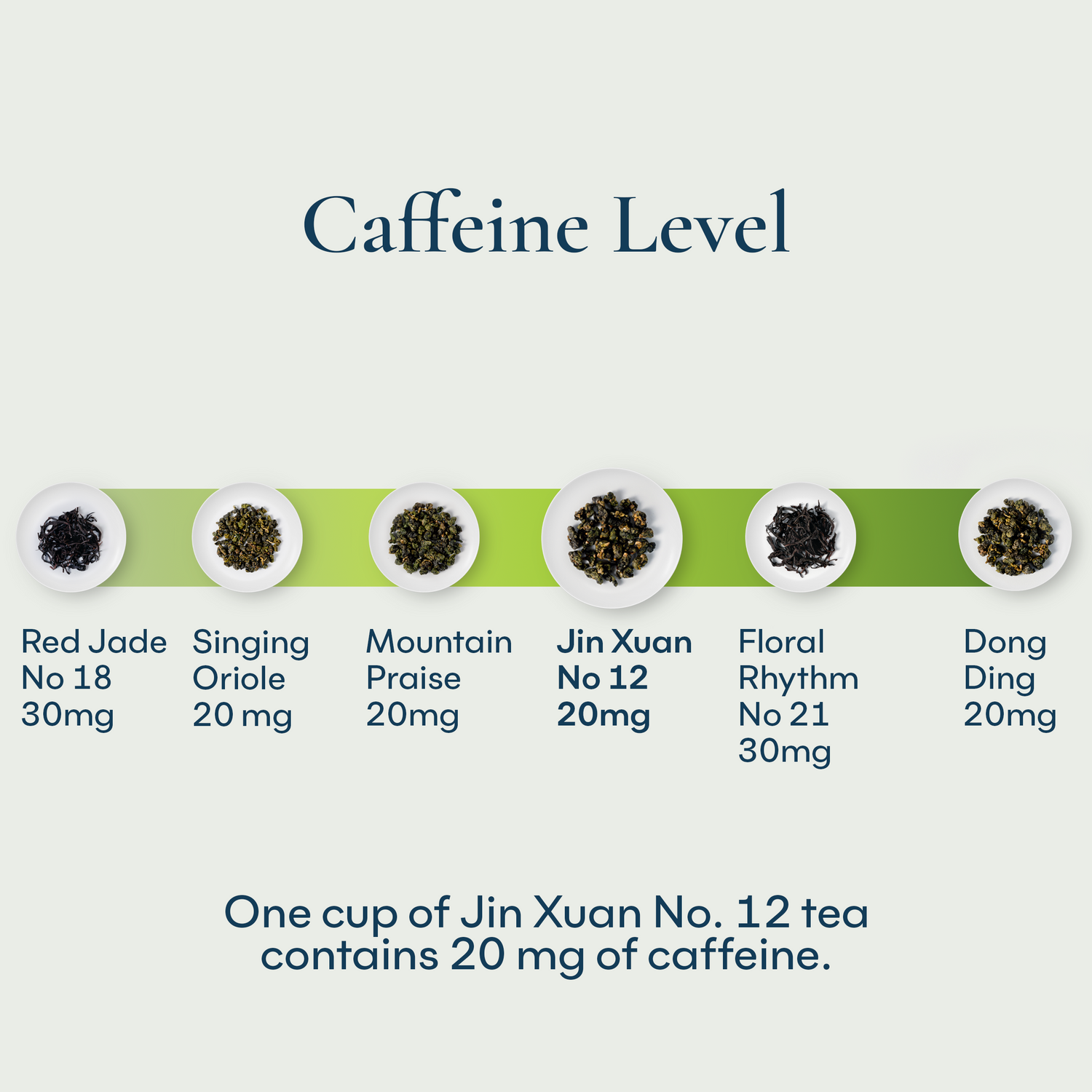 Jin Xuan No. 12 Tea Bag