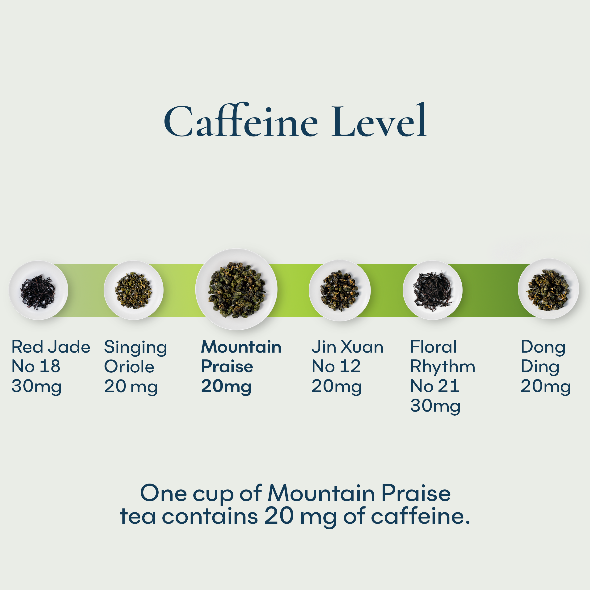 Mountain Praise Tea Bag
