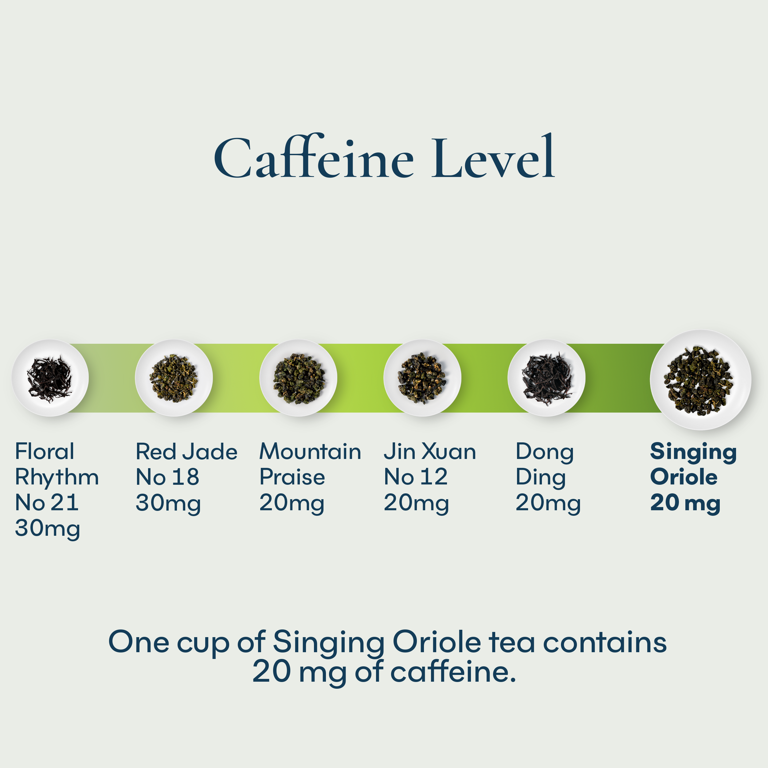 Singing Oriole Tea Bags