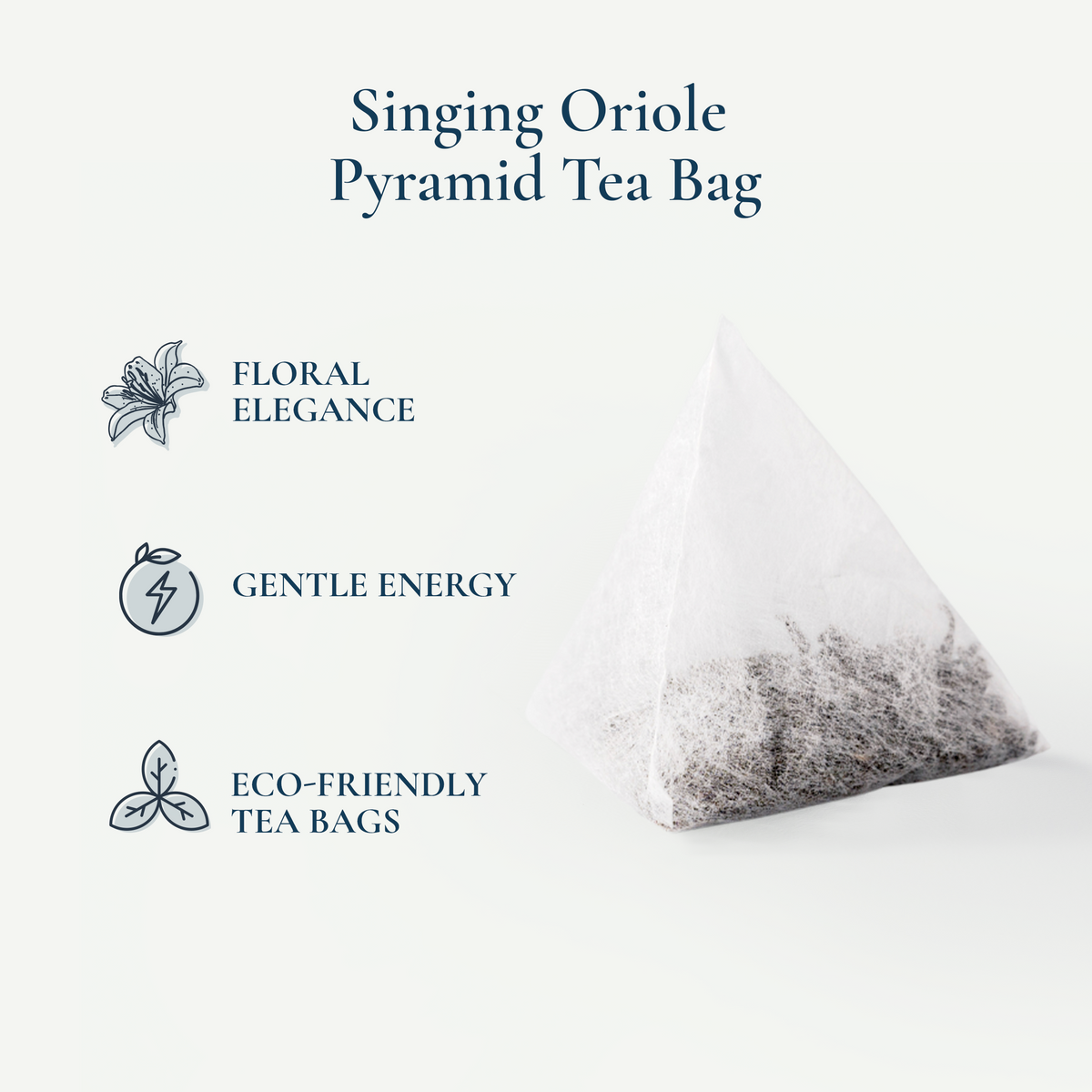 Light Body, Rich Aroma