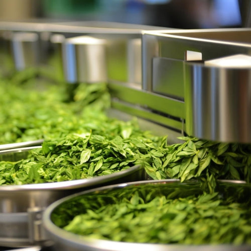 Stirring & Fermentation